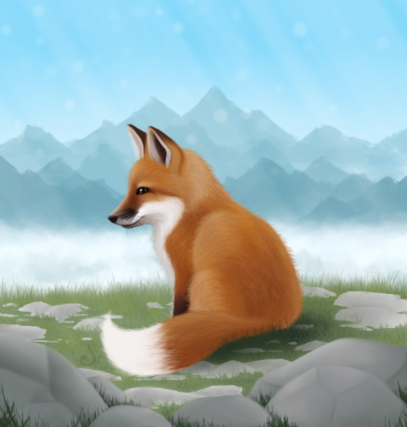 Fox