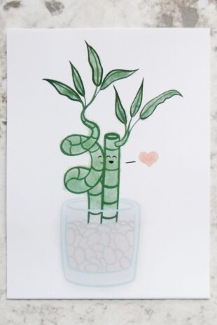 Bamboo Kiss