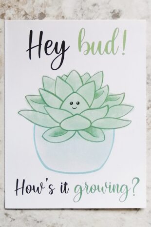 Hey bud!