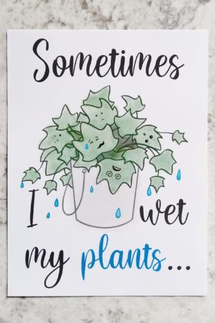 Sometimes I Wet My Plants