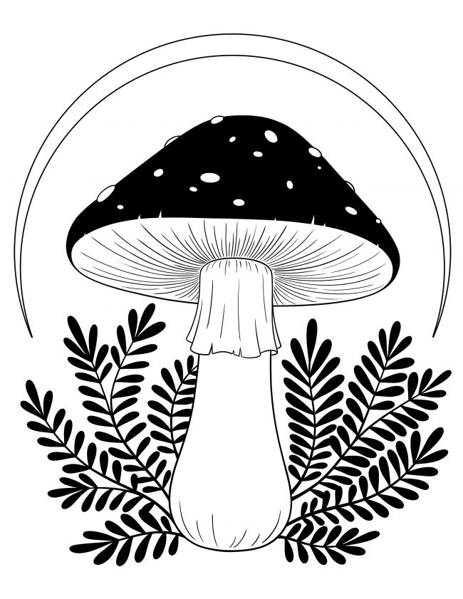 Mushroom T-Shirt - Image 3